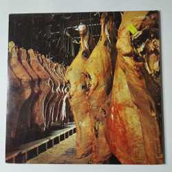 Винтажная виниловая пластинка LP The Edgar Broughton Band (Germany 1977)