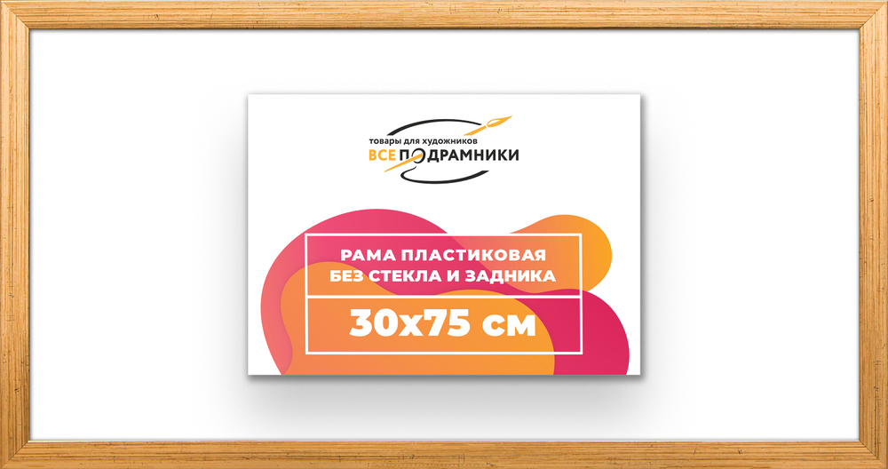 Рама 30x75 для картин и фотографий RP0430256-01
