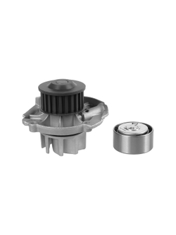 Ремкомплект ГРМ FIAT Brava/Doblo/Marea/Punto mot.1.1/1.2/1.4L 16V GANZ GIE34047