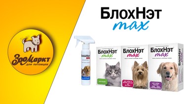 Акция БлохНэт