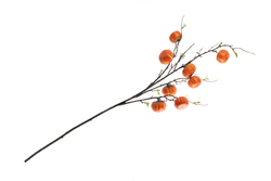 Ветка декоративная 94см Anna Lafarg Bright pumpkin Тыквы