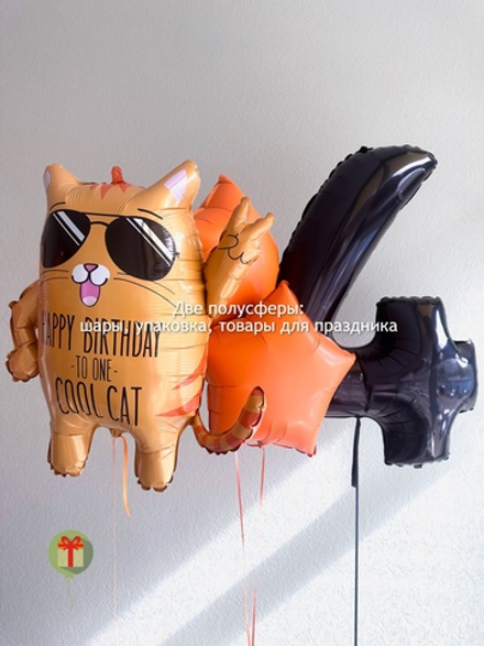 Набор шаров Котяра