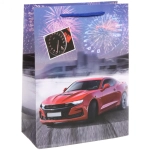 Пакет подарочный «Гонка» 18*24*8,5 см