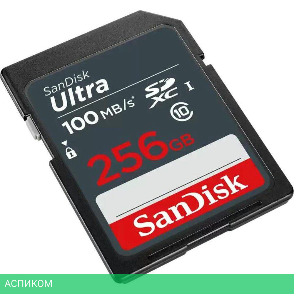 Карта памяти SanDisk SDXC 256GB (SDSDUNR-256G-GN3IN)