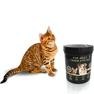 Кормовая добавка For adult Canine&Feline для взрослых и стареющих кошек и собак 30г