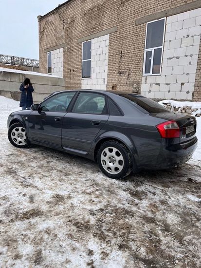 Листва (молдинги) на двери для Audi A4 B6