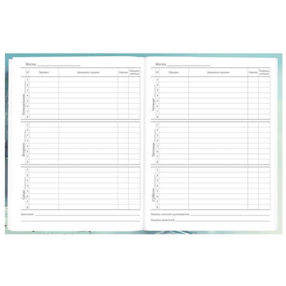 Дневник 5-11 класс 48 л., твердый, BRAUBERG, глянцевая ламинация, с подсказом, "Космический корабль", 107189