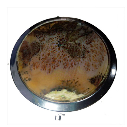 Зеркальце агат моховый