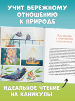 CLEVER-чтение. Приключения Шурочки и Мурочки (мягкая обложка)
