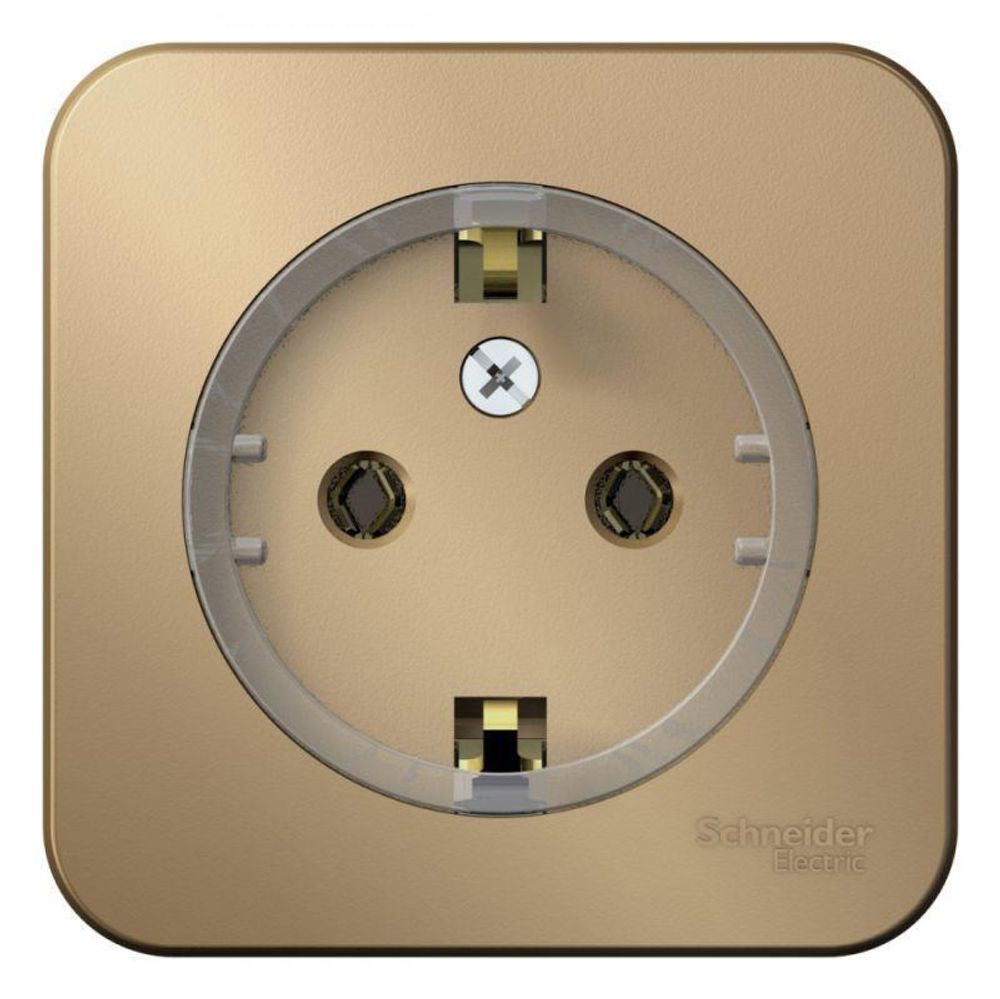 Розетка 1-м ОП Blanca 16А IP20 250В с заземл. без защ. шторок с изолир. пластиной (компакт) титан SE BLNRA110114 Розетка 1-м ОП Blanca 16А IP20 250В с заземл. без защ. шторок с изолир. пластиной (компакт) титан SE BLNRA110114