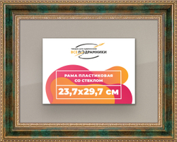 Рамка 23,7x29,7 для постера и фотографий