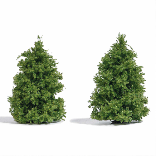 Лиственница, 2 шт., 60 мм