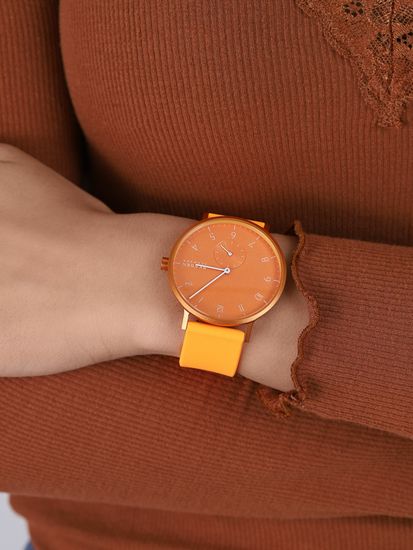 Мужские часы Skagen SKW6558