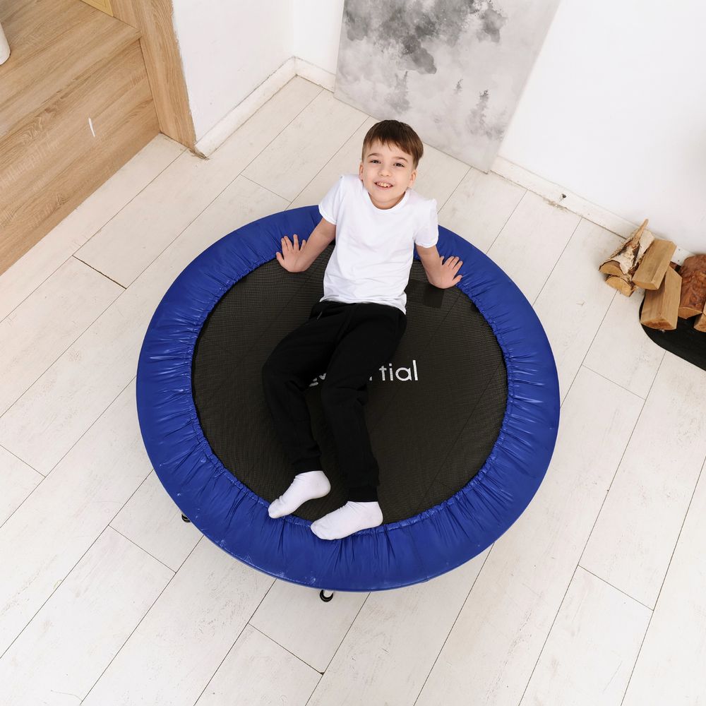 Батут DFC Kinertial 48&#39;&#39; синий