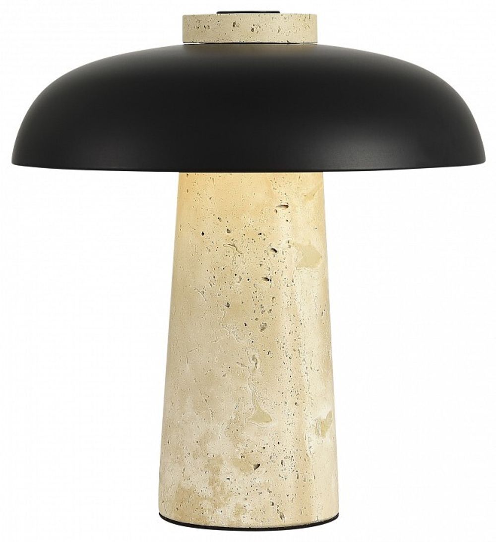 Настольная лампа декоративная ST-Luce Earthy SL1194.424.01