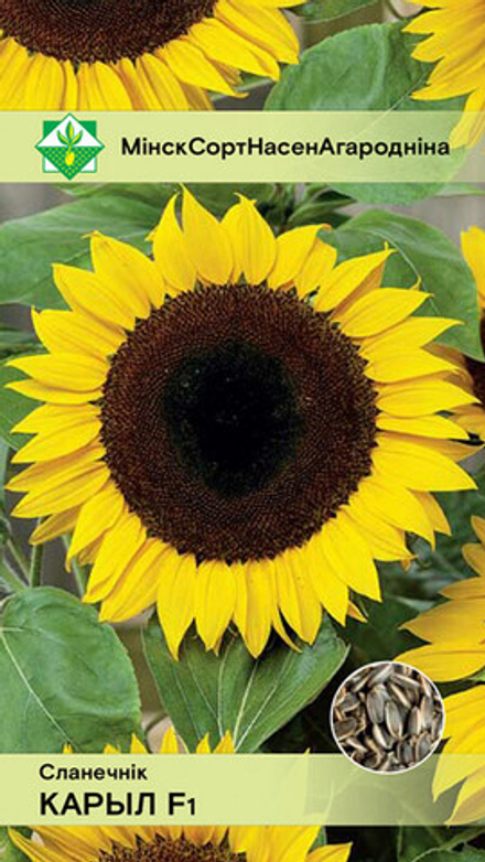 Подсолнечник "Корил F1" 5г, Польша.
