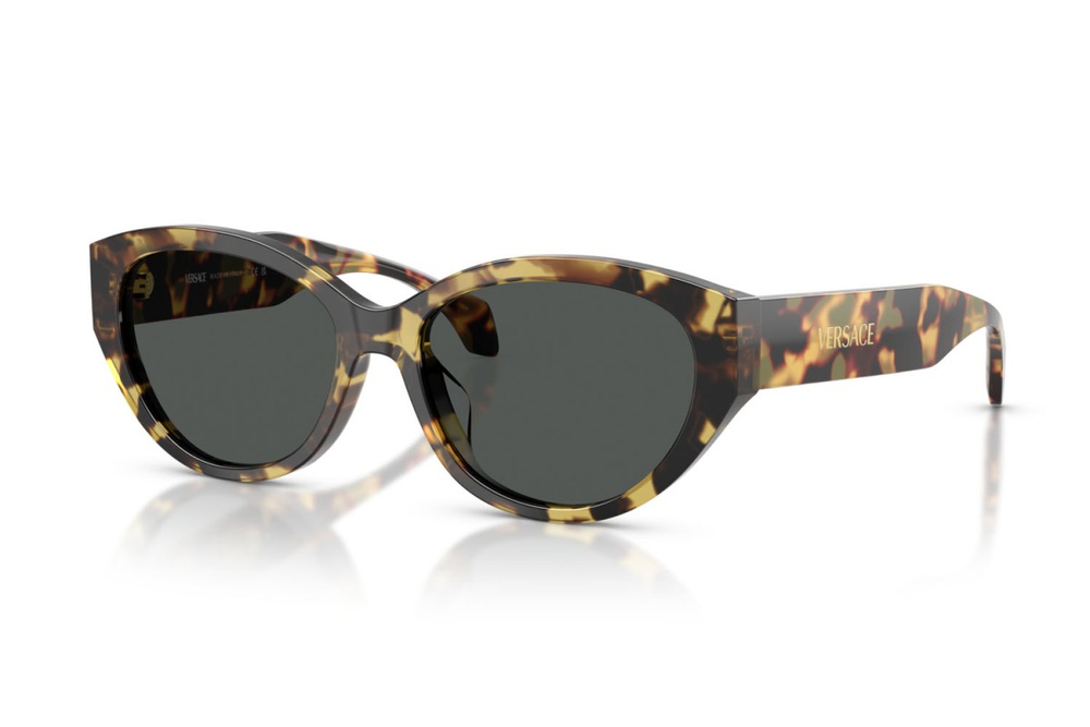 Versace 4495