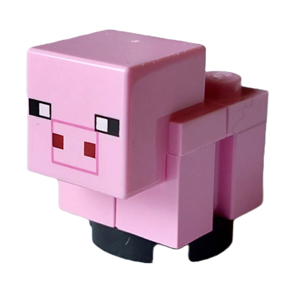 Поросёнок minepig02b | minepig02a | minepig02