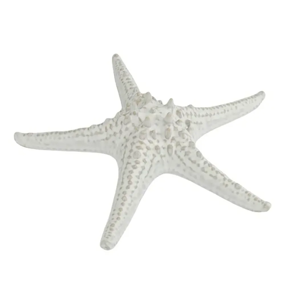 Блюдо для подачи 24 см h6 см Звезда Gray Starfish Frutti di Mare P.L. [1]