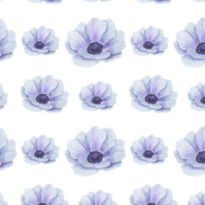 Анемоны акварель