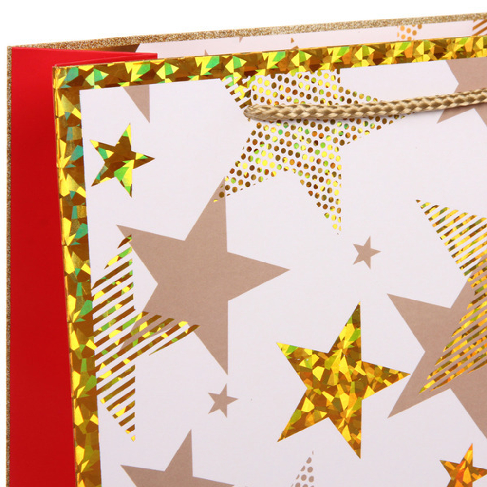 Пакет подарочный «Волшебство» 26*32*10 см, микс