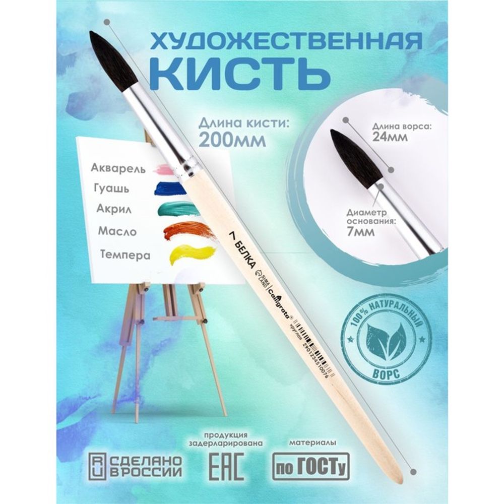Кисть для рисования, Белка круглая № 7