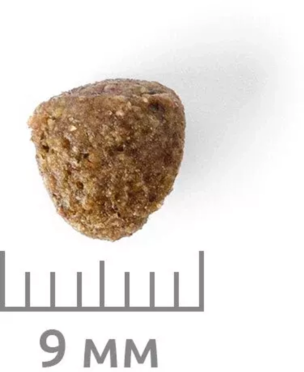 Delicana Cухой корм для собак мелких пород Ягненок с рисом, 8 кг