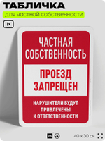 Табличка для частной территории "Частная собственность, проход запрещен", на дом, для участка, организаций, предупреждающая, 40х30 см, Silver Plane x Айдентика Технолоджи