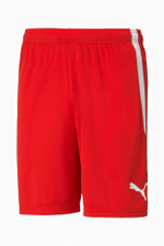 Шорты Puma teamLIGA