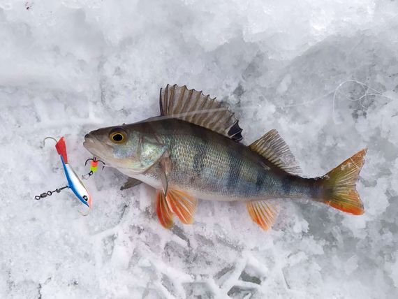 Балансир Lucky John NORDIC 4 40мм/15HRT