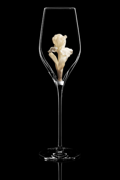 Бокал для шампанского Флюте. / Ирис белый.