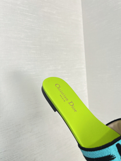 Christian Dior Dway Slide (11 colors)