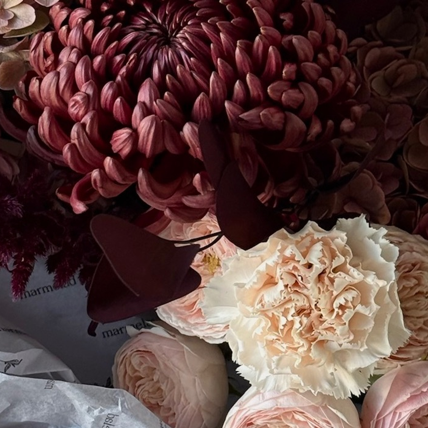 цвет бургунди