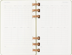 Еженедельник Moleskine ACADEMIC SPIRAL (DHSPK5212AMWH3) Large 150х210мм 200стр кремовые страницы спираль киви