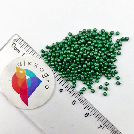 СКАЙВОКЕР F1 семена капусты цветной Bejo цена – фото 6