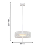 Подвесной светодиодный светильники F-Promo Trigger 4734-3P