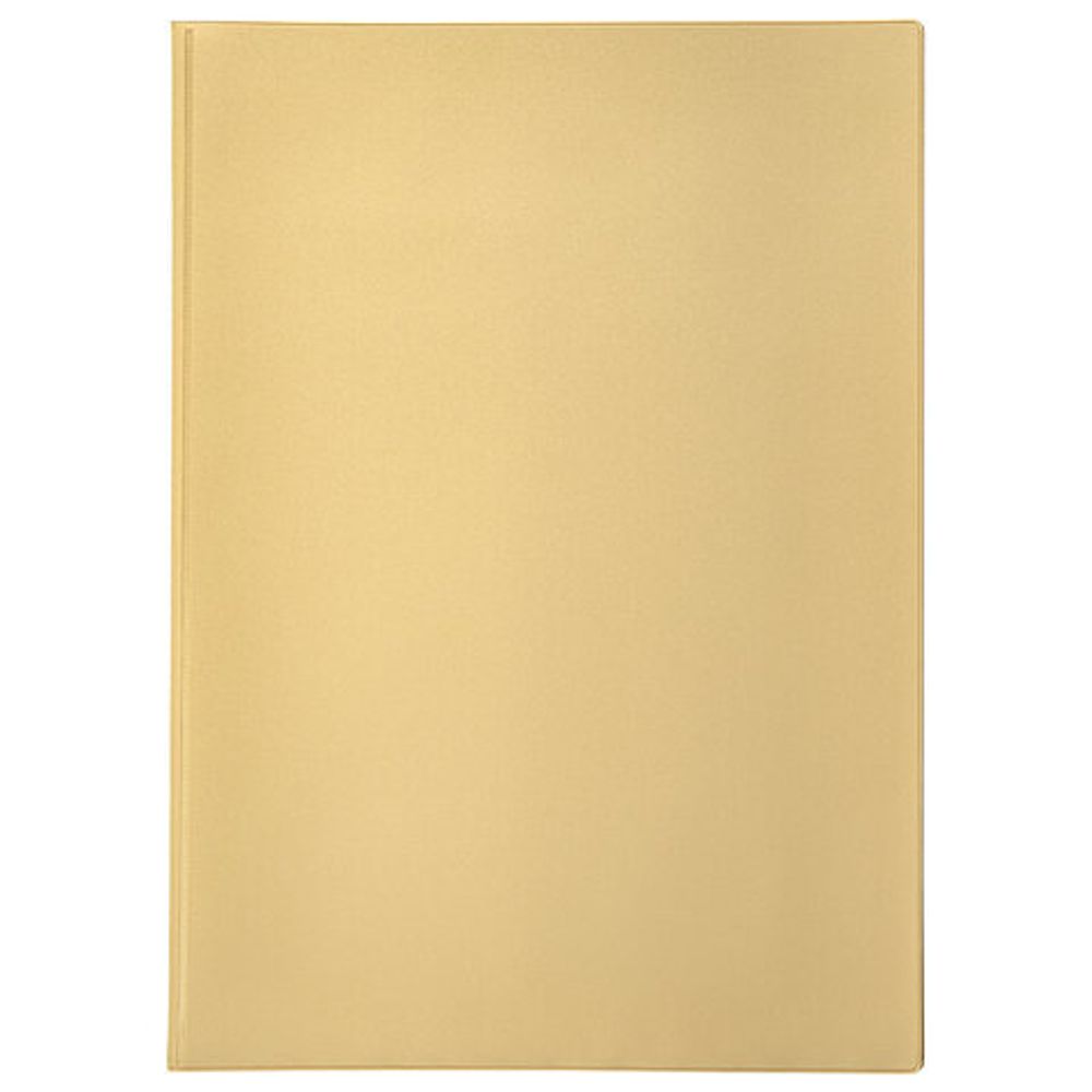 Папка для семейных документов с файлами (свидетельства, полисы, СНИЛС и т. п.) STAFF, 12 отделений, ПВХ, бежевая, 237808