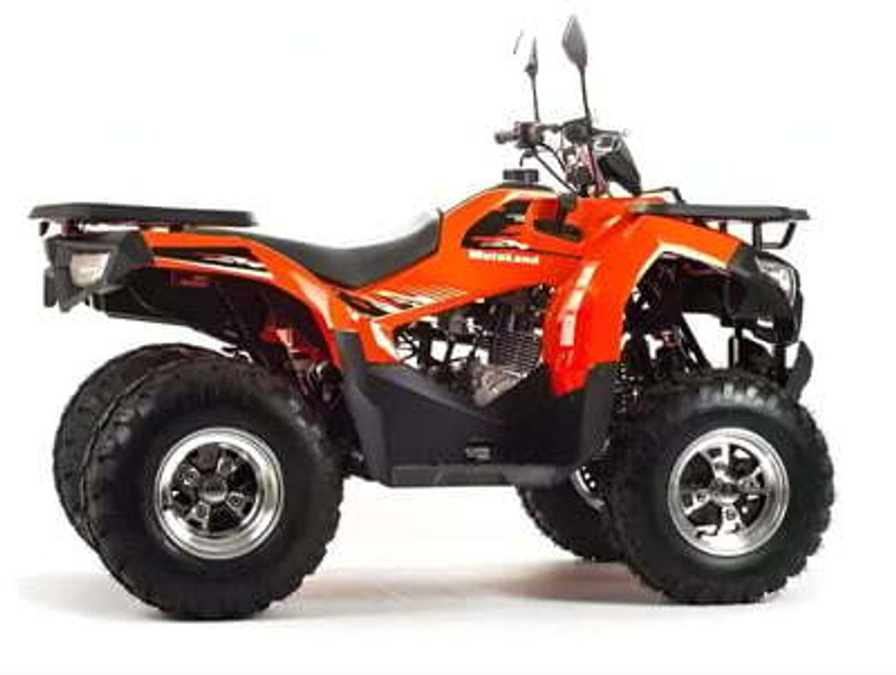 Квадроцикл MOTOLAND 200 MAX