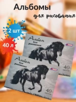 Альбом для рисования 40 листов 2 шт