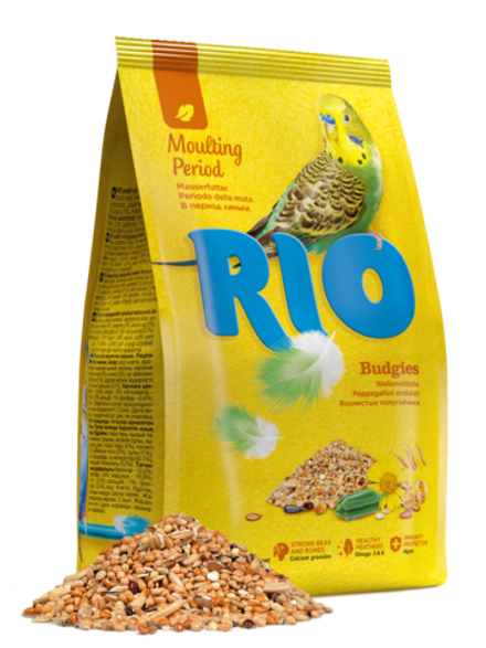 Rio Budgies