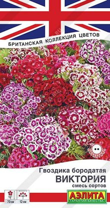 Гвоздика Виктория смесь 0,1г Ц Аэлита