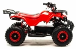Электроквадроцикл Motoland ATV E008 800Вт