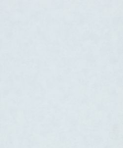 Shades Iconic / Flora