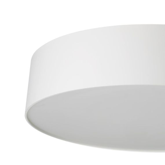 Светильник потолочный Citilux BART CL755290