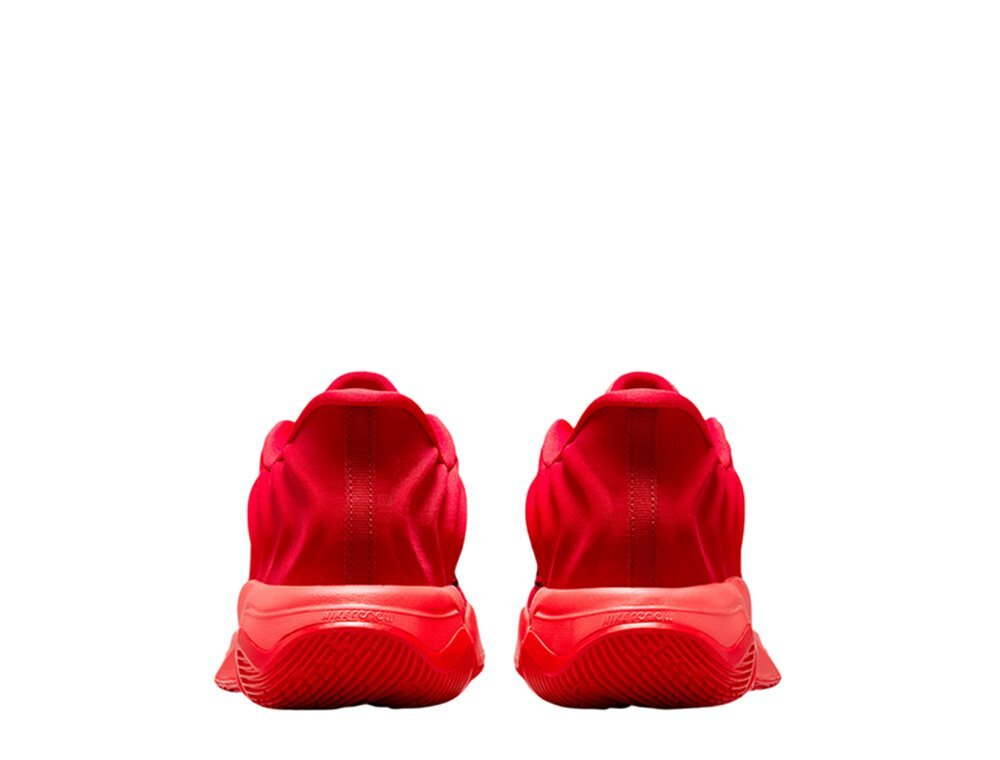 Баскетбольные кроссовки Nike Giannis Immortality 4 Red Shoes