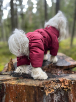 Зимний комбинезон для собак (девочка)