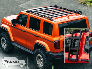 TANK 300 Баrажник на крышу с лесенкой Wildness Cavalryman