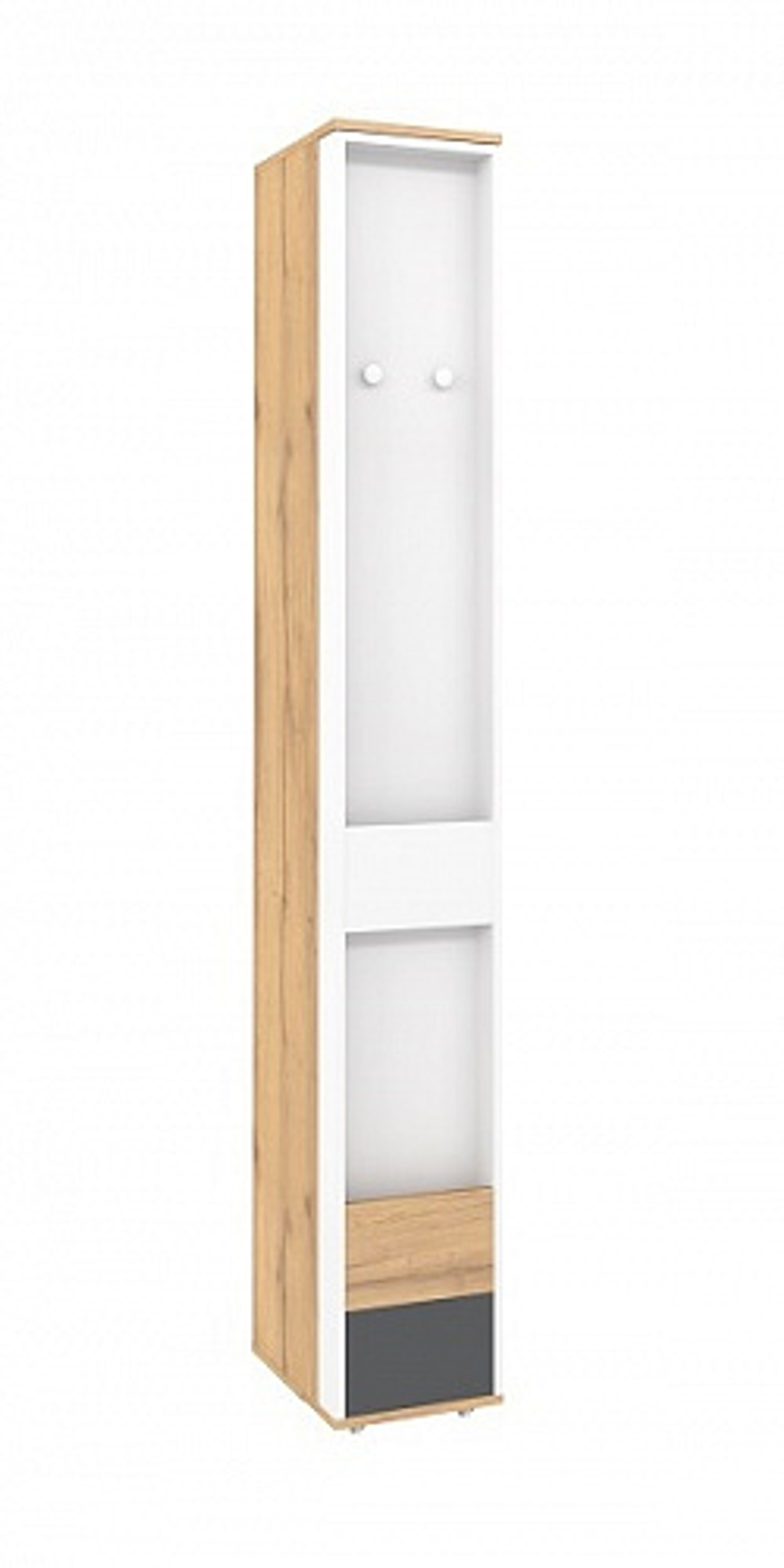 Шкаф МЦН Лойс 85