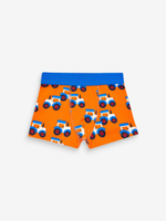 Трусы для мальчика Next N33-982, 10 шт., Красный, Оранжевый, Голубой