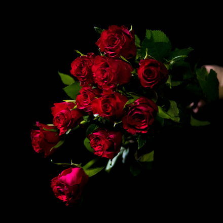 ❤️ Ловец сердец — букет классических красных роз — в день всех влюблённых у Феи